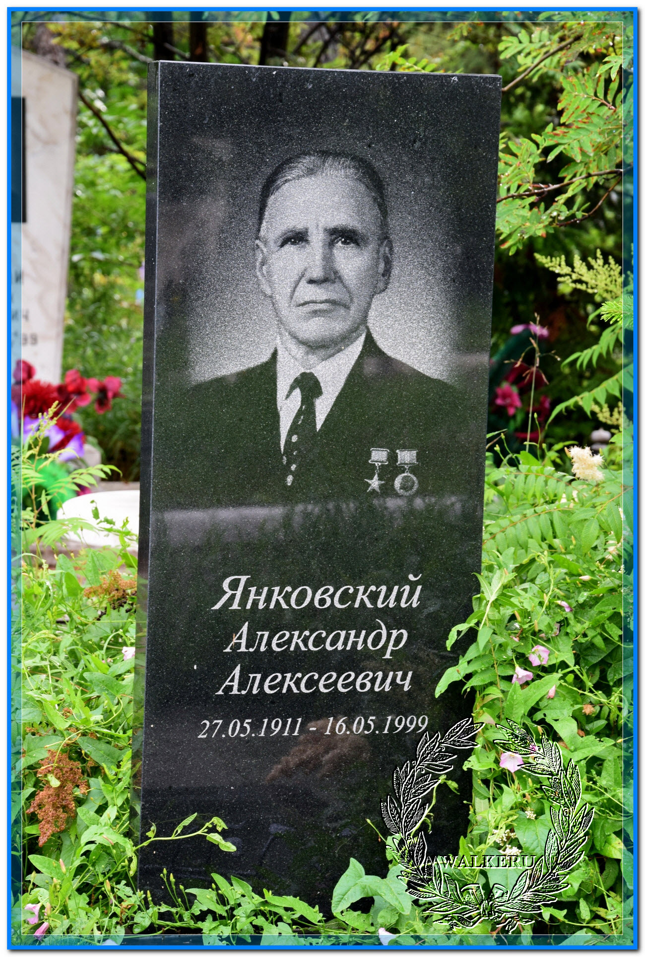 Янковский Александр Алексеевич