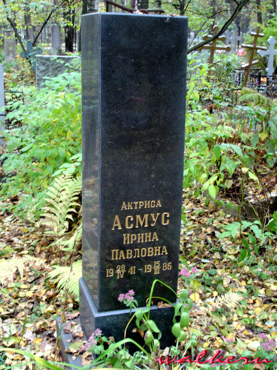 Могила Асмус И.П. на Большеохтинском кладбище