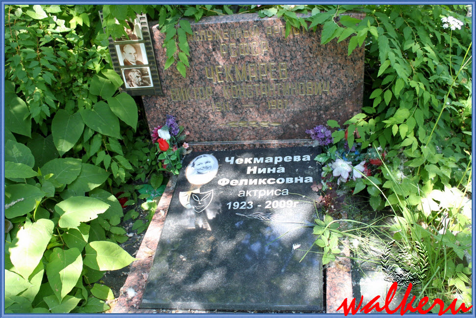 Могила Чекмарёвой Н.Ф. на Большеохтинском кладбище