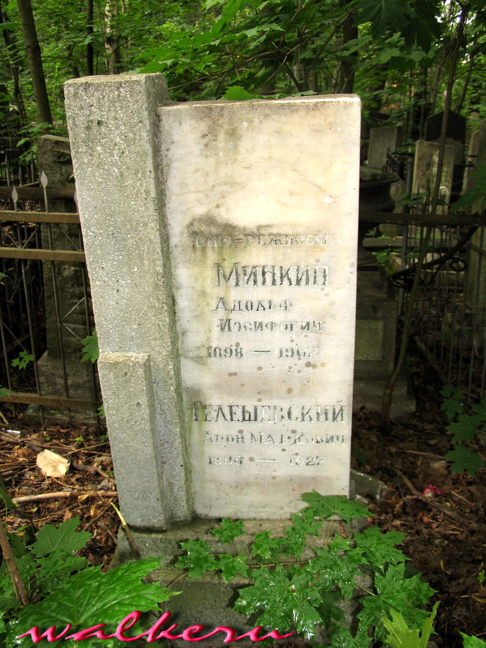 Могила Минкина А.И. на Еврейском кладбище