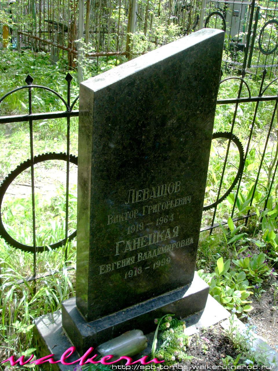 Могила Левашова Виктора Григорьевича на Гореловском кладбище