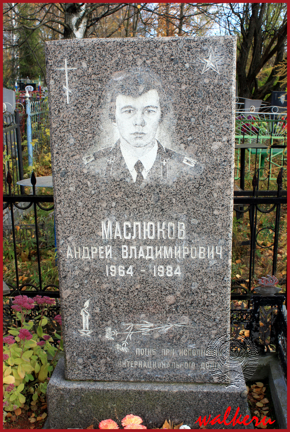 Могила Маслюкова А.В. на Колпинском кладбище