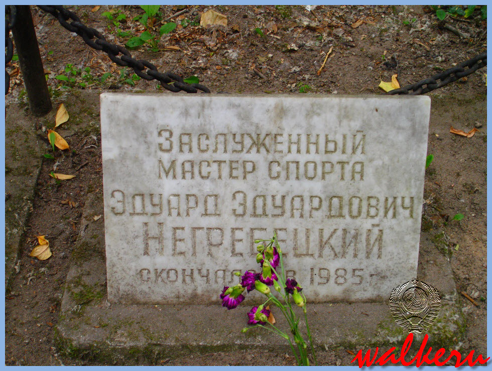 Могила Негребецкого Э.Э. на Красненьком кладбище