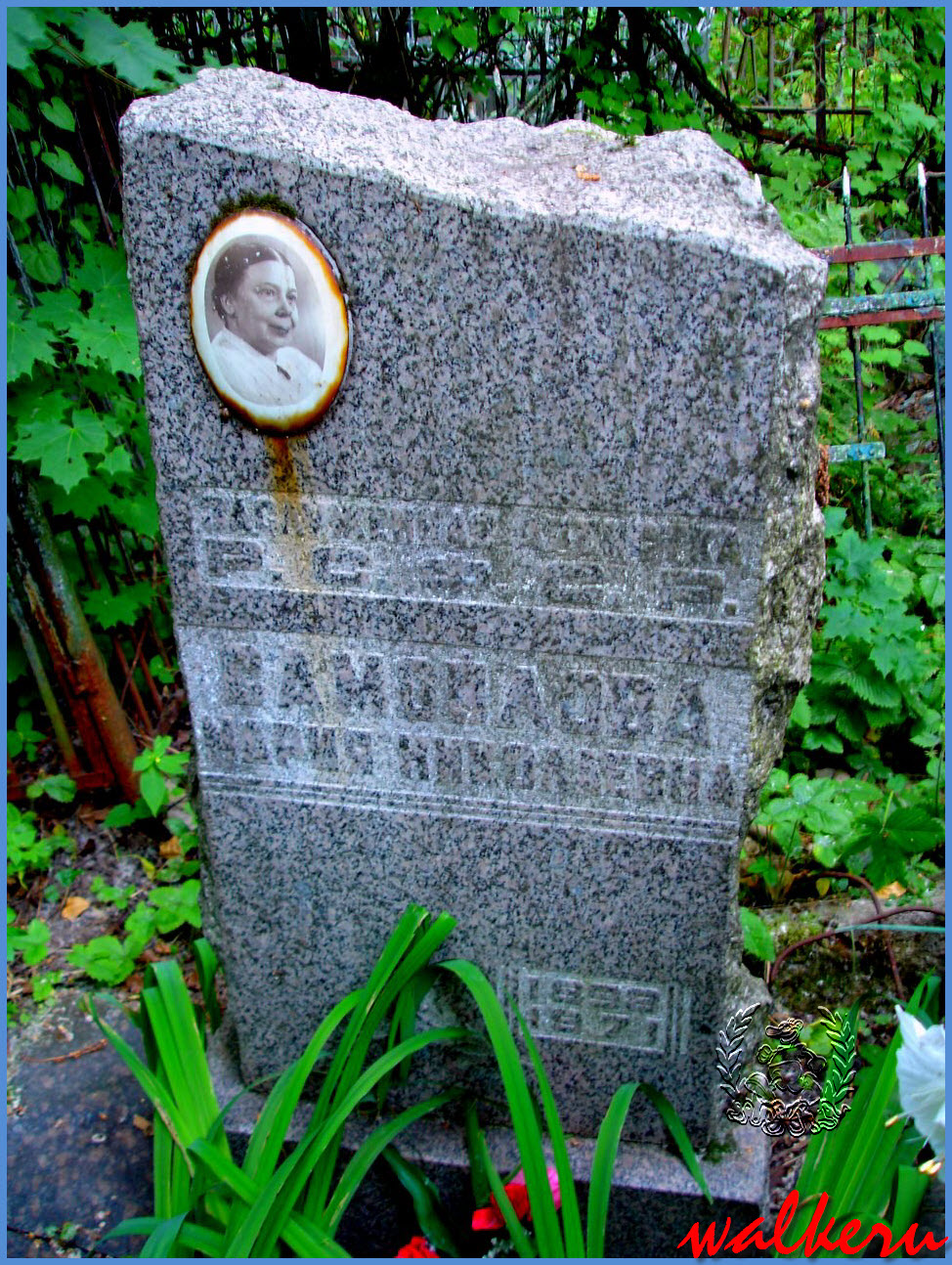 Могила Самойловой М.Н. на Красненьком кладбище