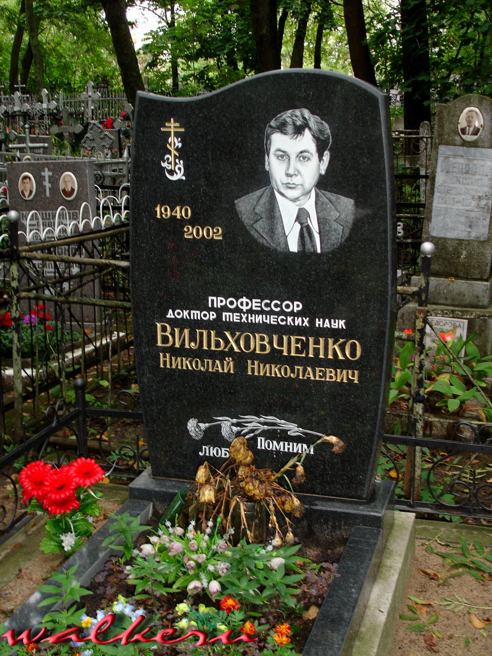 Могила Вильховченко Н.Н. на Красносельском кладбище