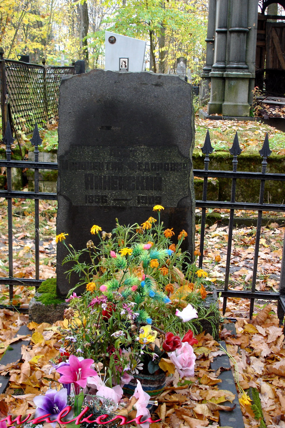 Могила Анненского И.Ф. на Казанском кладбище ЦС