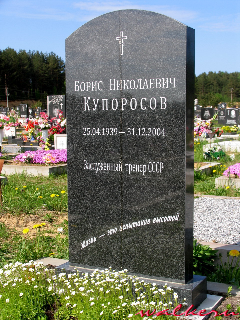 Могила Купоросова Б.Н. на Кузьмоловском кладбище