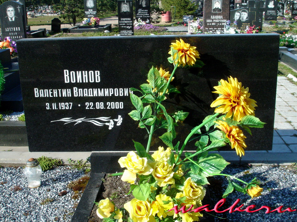 Могила Войнова В.В. на Кузьмоловском кладбище