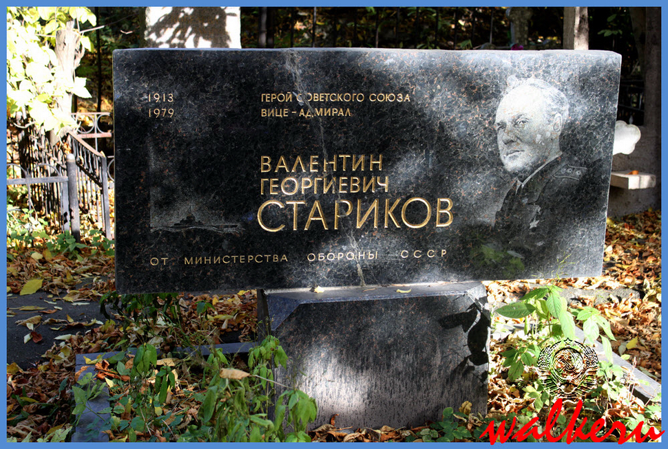 Могила Старикова В.Г.Ново-Волковском кладбище