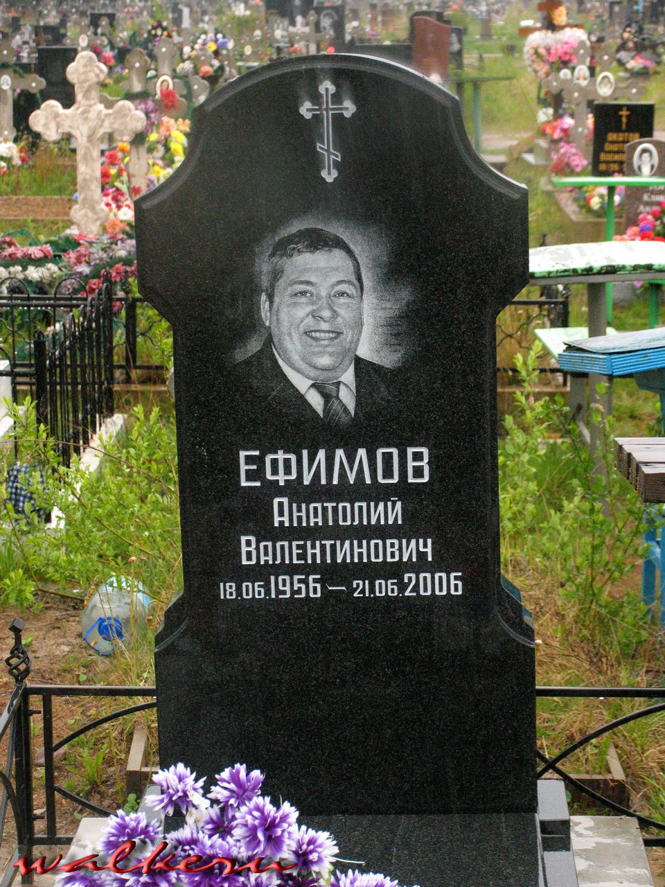 Могила Ефимова А.В. на Петергофском кладбище
