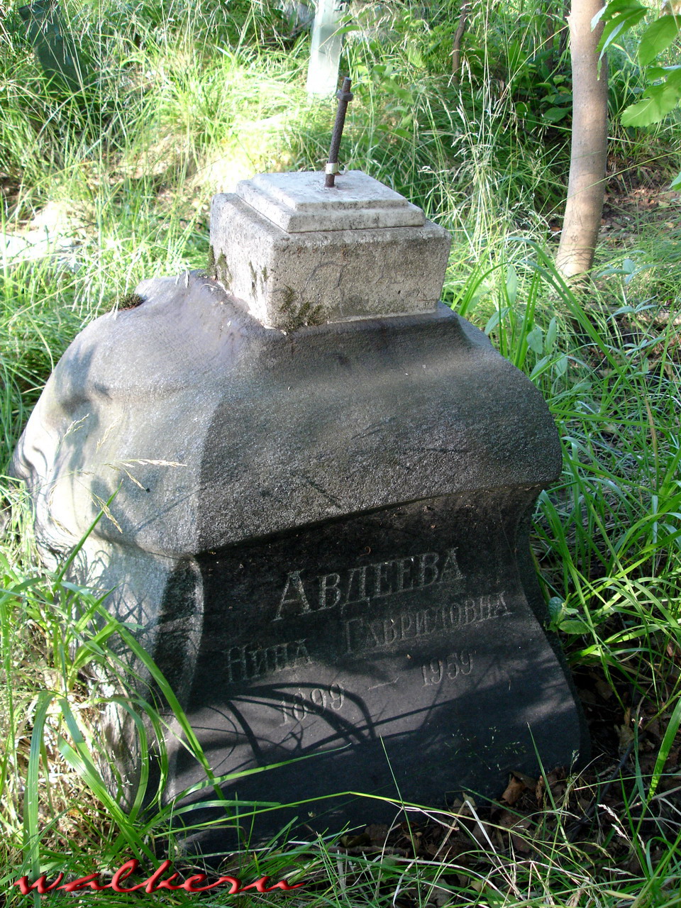 Могила Авдеевой Н.Г. на Пискарёвском кладбище