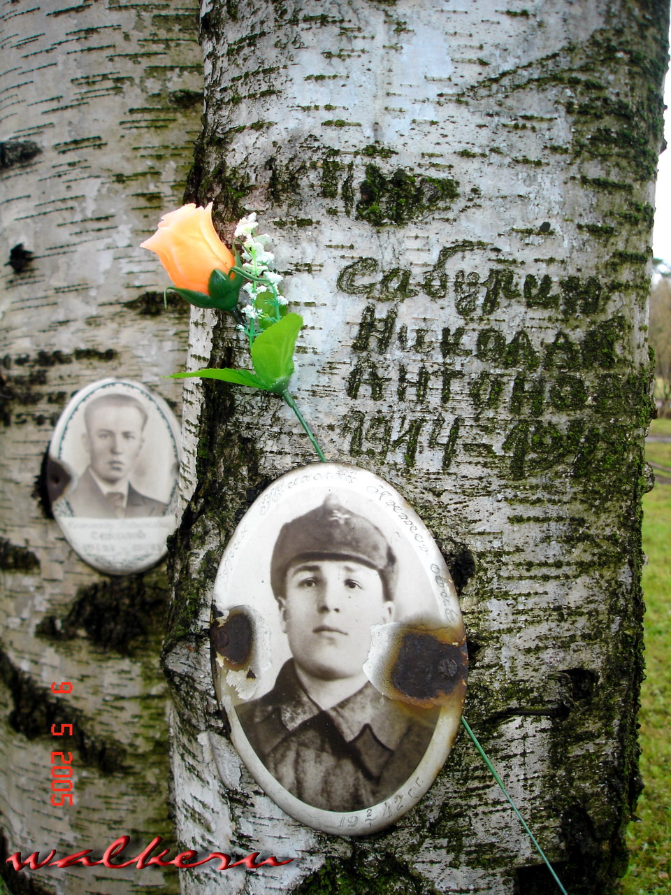 Кенотаф Сабурина Н.А. на Пискарёвском кладбище