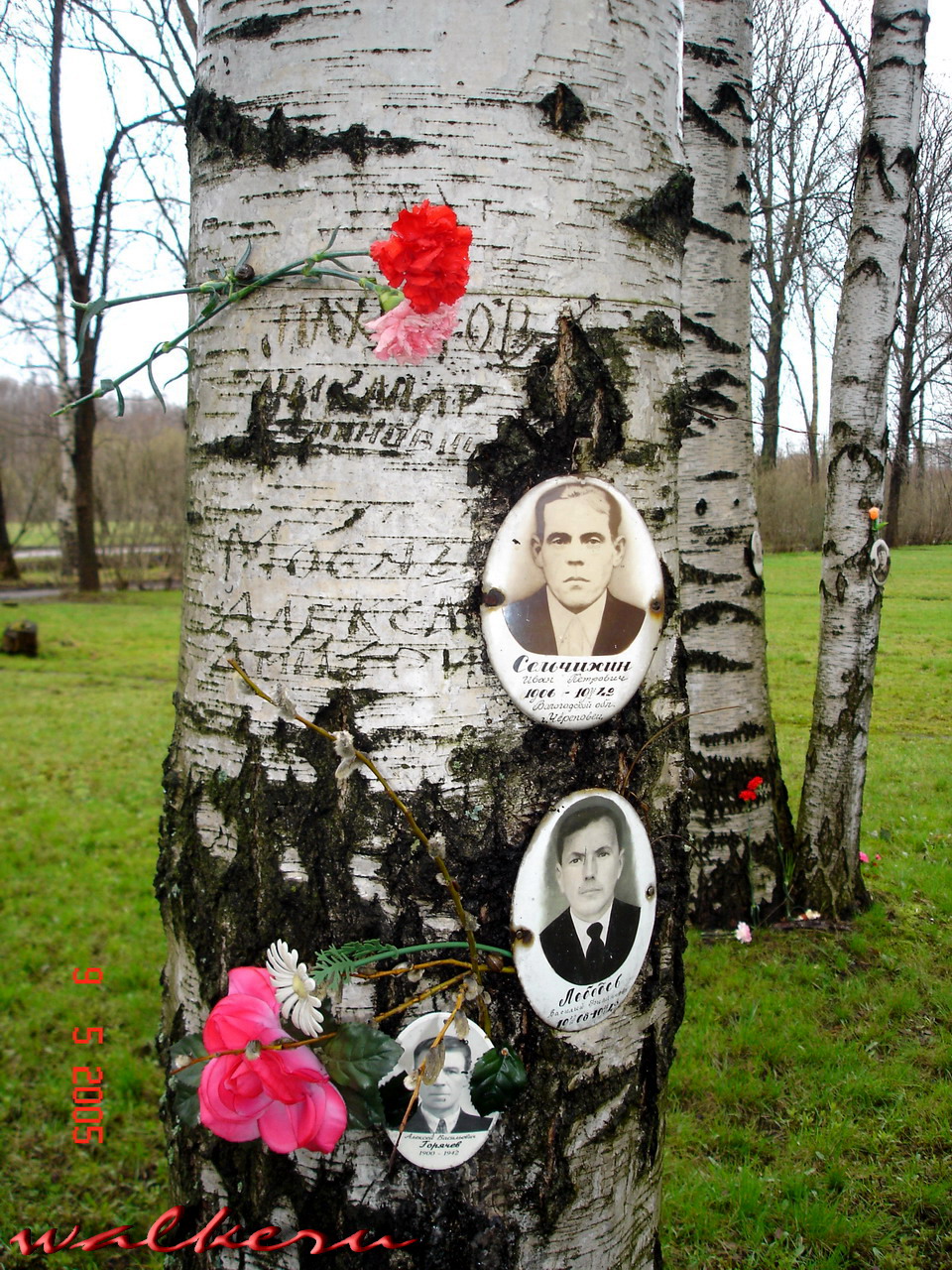 Кенотаф Сельчихина И.П. на Пискарёвском кладбище