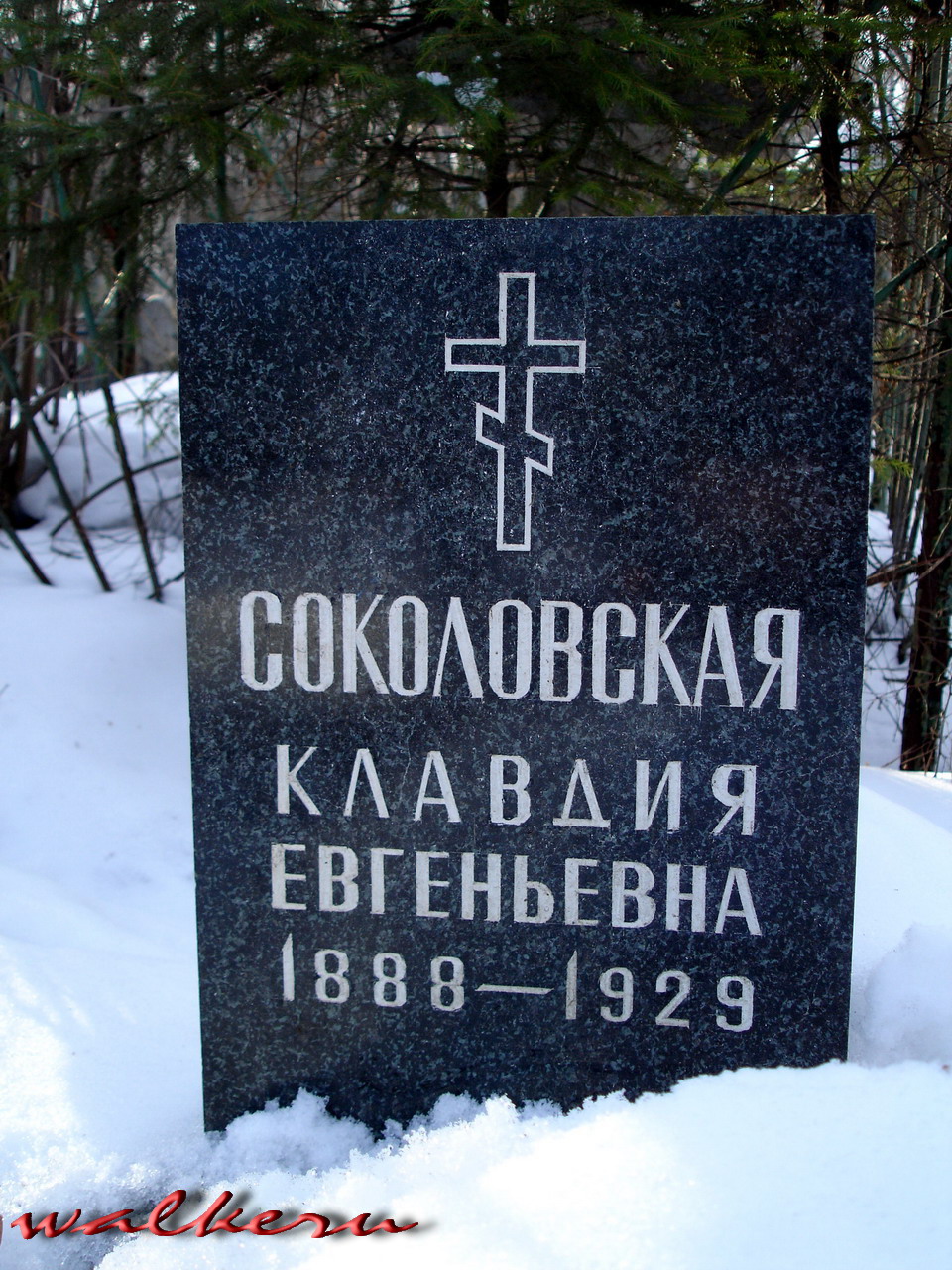 Могила СОКОЛОВСКОЙ К.Е. на Пороховском кладбище, Рябовское шоссе, 79.