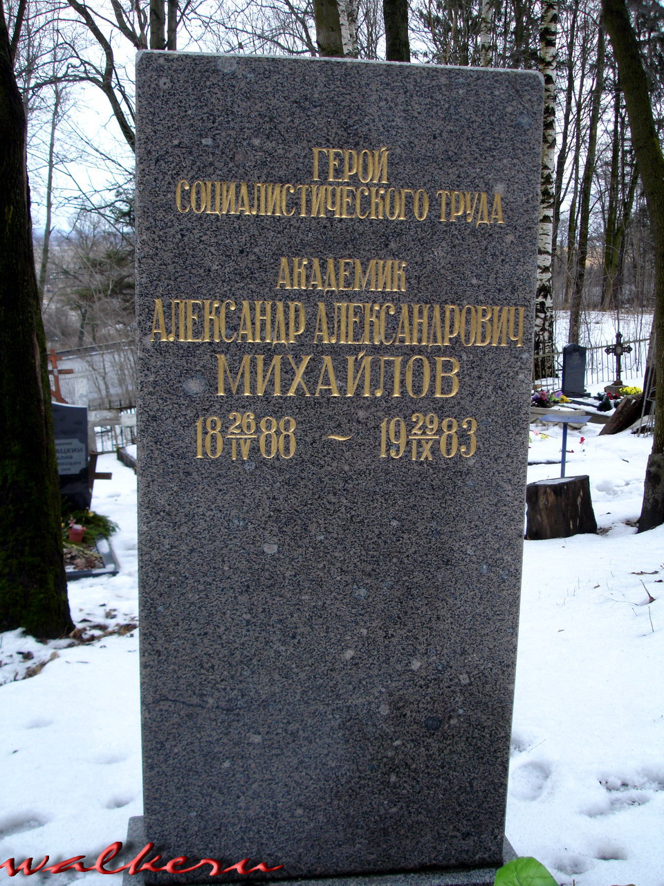 Могила Михайлова А.А. на Пулковском кладбище