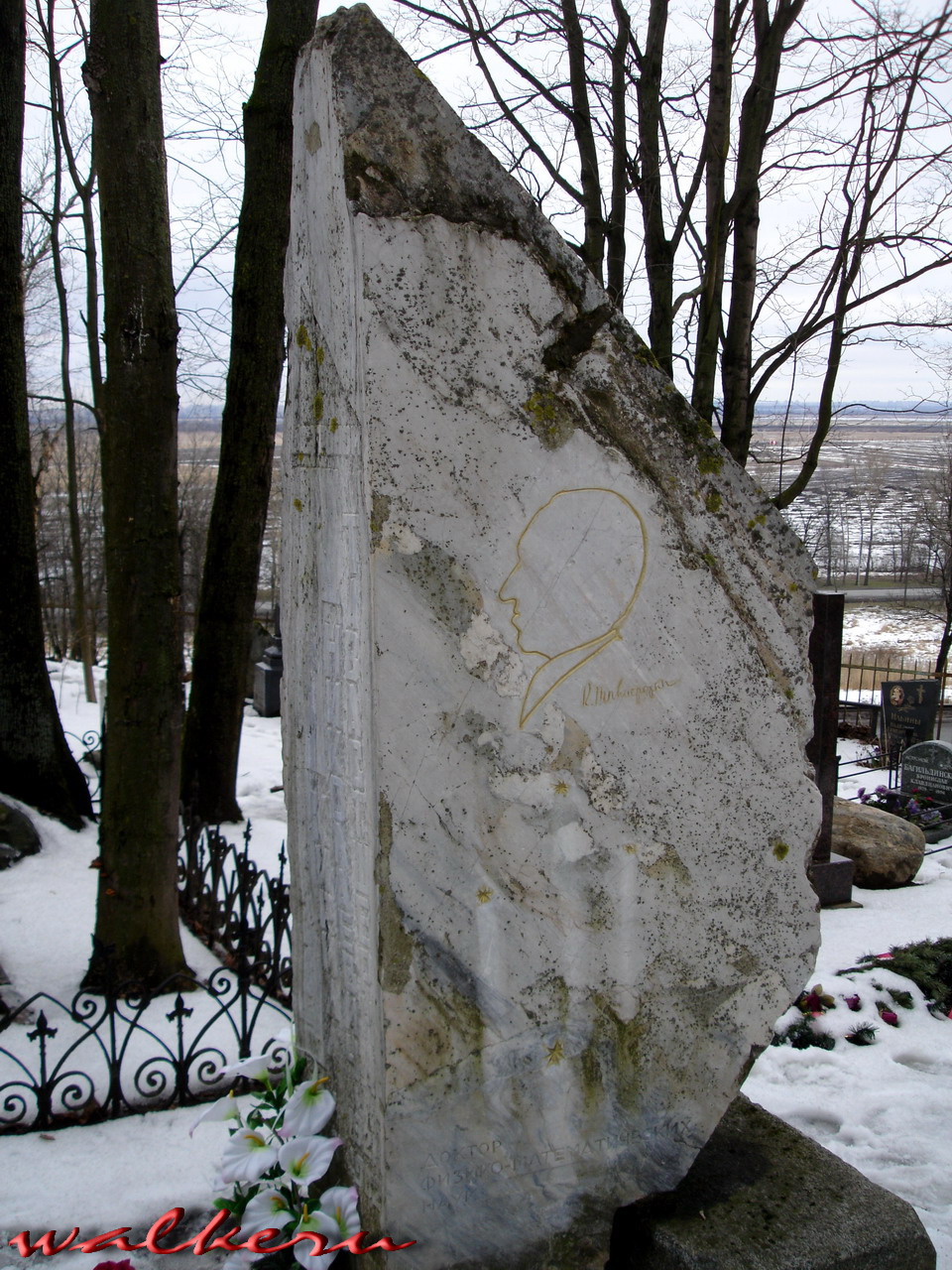 Могила Тавастшерна К.Н. на Пулковском кладбище