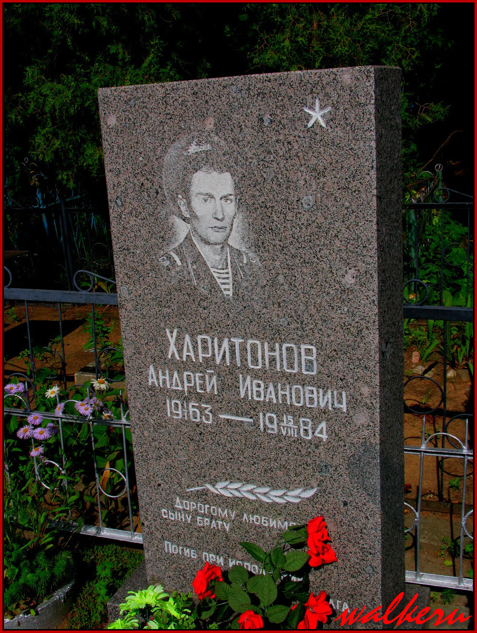 Могила Харитонова А.И. на Шушарском кладбище