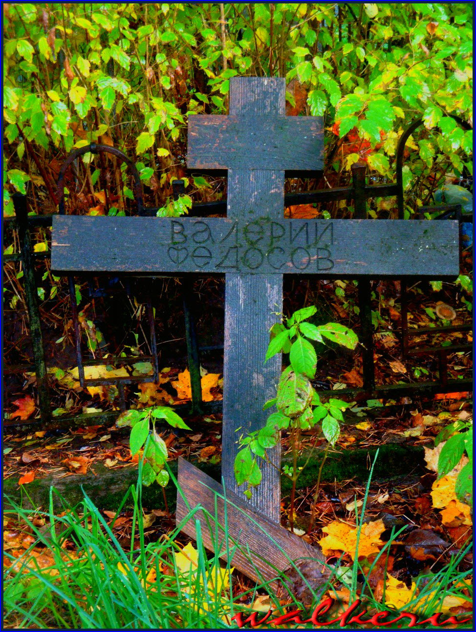 Могила Федосова В.И. на Шуваловском кладбище