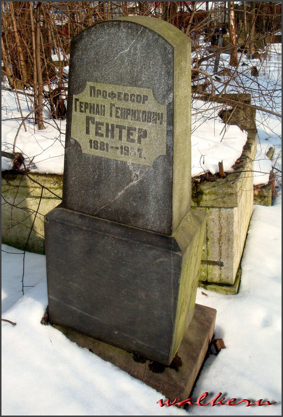 Могила ГЕНТЕР Г.Г. на Смоленском лютеранском кладбище