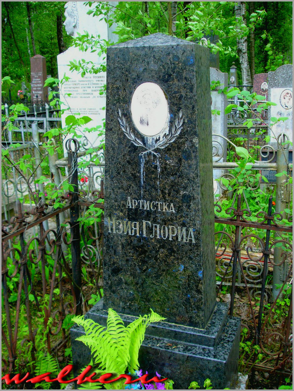 Могила Глории Н.Д. на Серафимовском кладбище