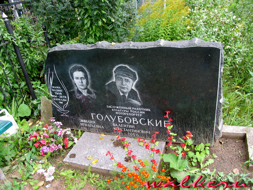 Могила Голубовского В.К. на Старапановском кладбище