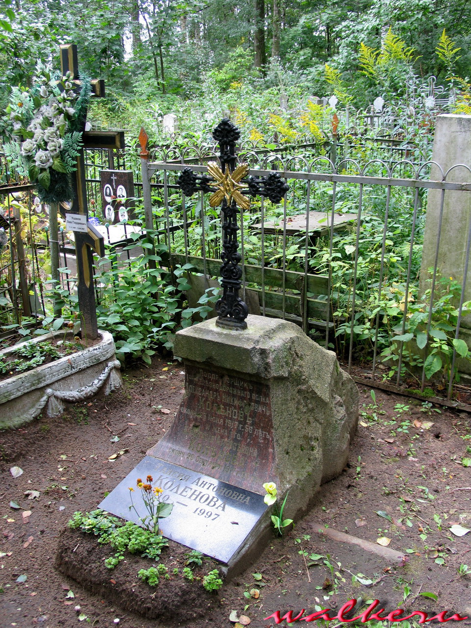 Могила КОЛЕНОВА А.Н. на Старапановском кладбище