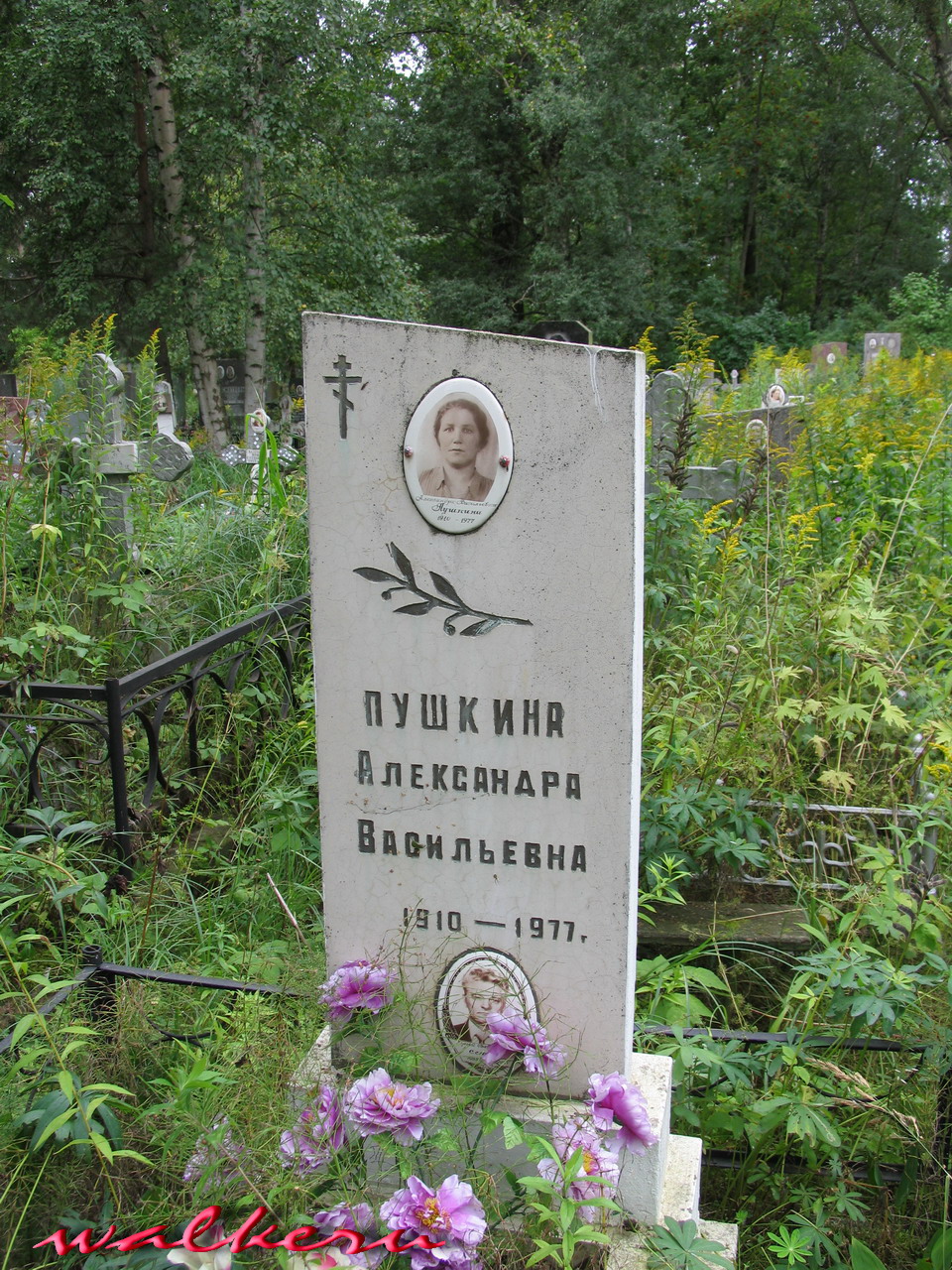 Могила ПУШКИНОЙ А.В. на Старапановском кладбище