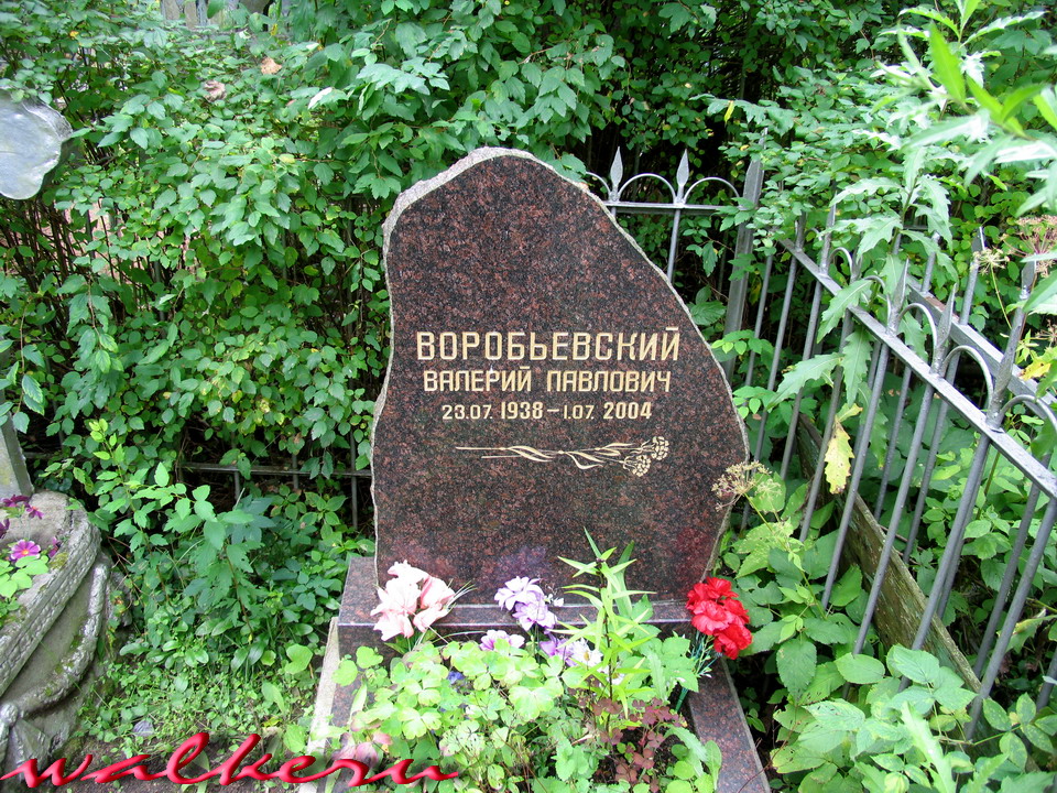 Могила ВОРОБЬЕВСКИЙ В.П. на Старапановском кладбище
