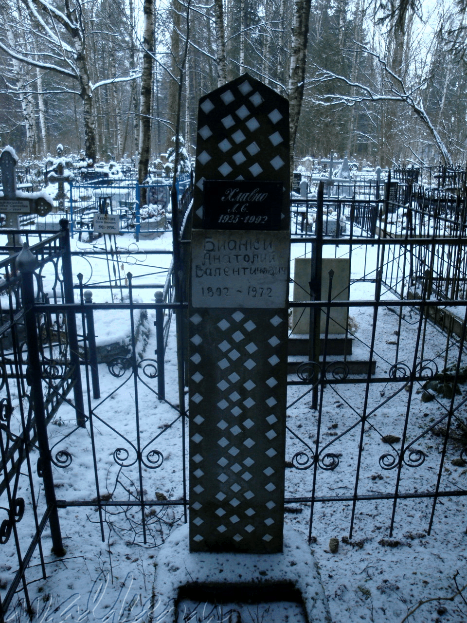 Могила БИАНКИ А.В. на Северном кладбище
