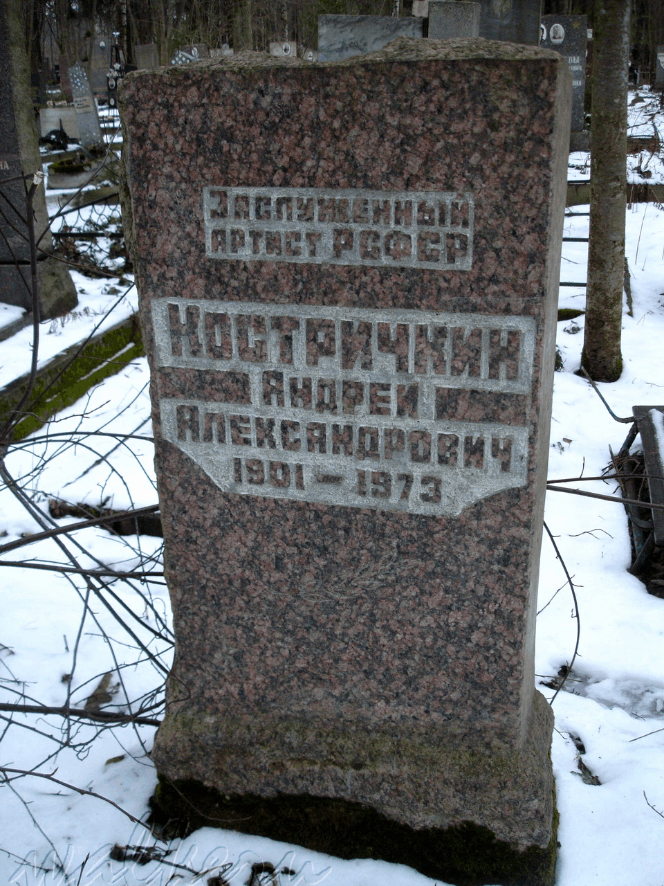 Могила Костричкина А.А. на Северном кладбище
