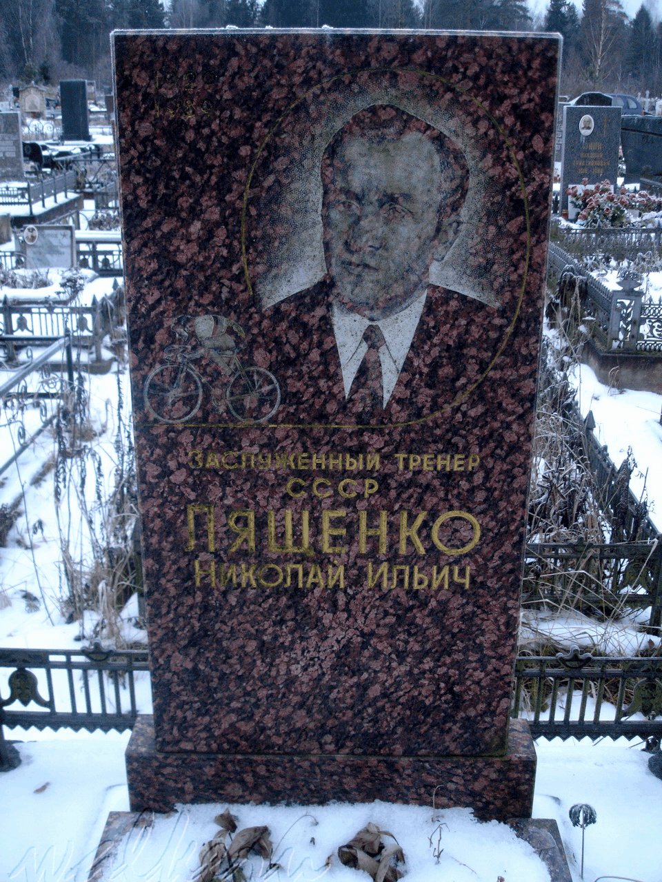 Могила ЛЯЩЕНКО Н.И. на Северном кладбище