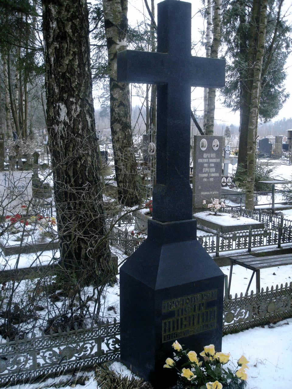 Могила НИКИТИНА П. на Северном кладбище