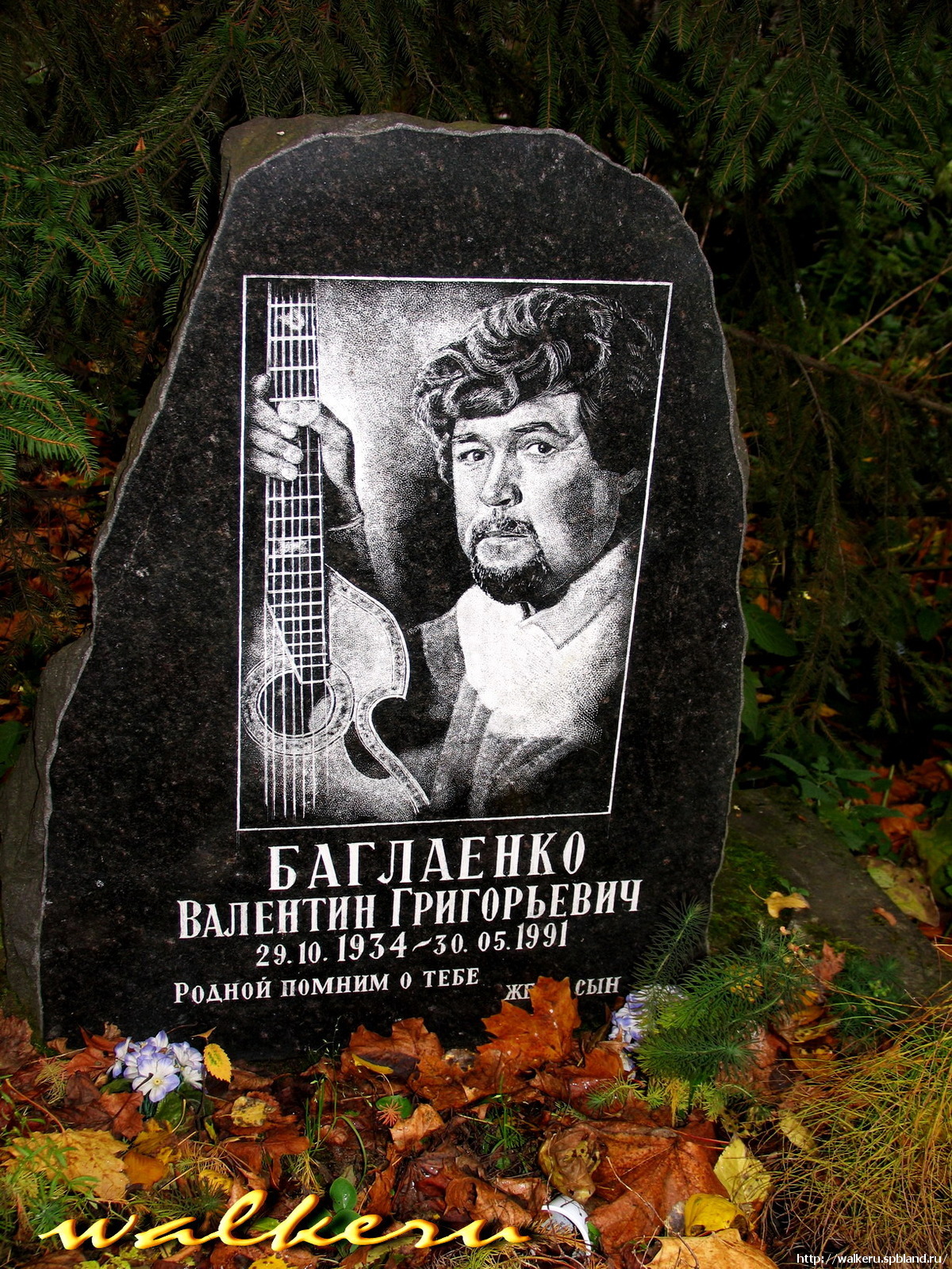 Могила Баглаенко В.Г. на Волковском православном кладбище