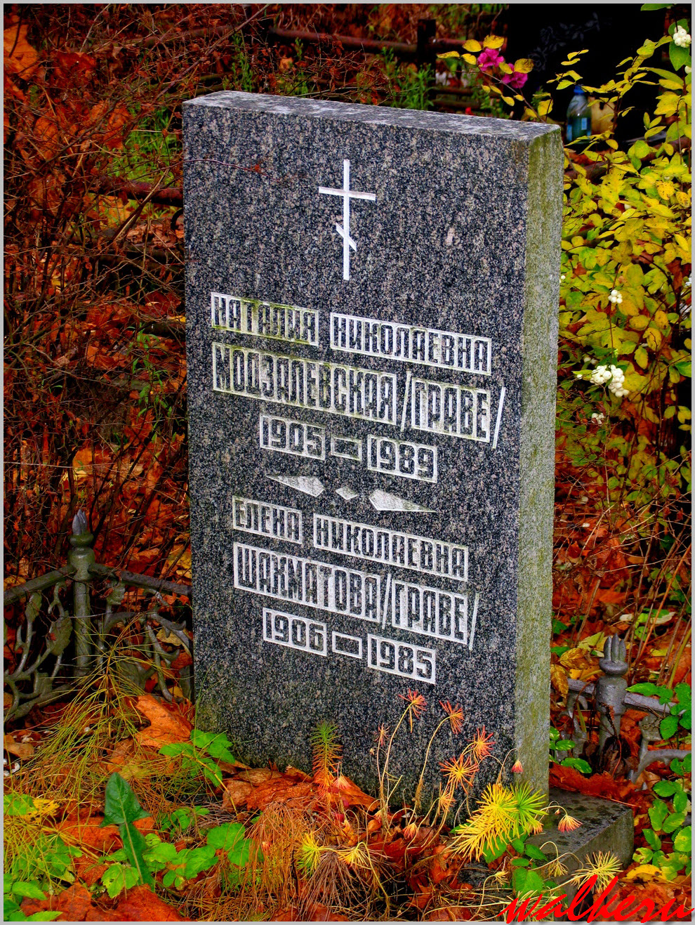 Могила Модзалевской Н.Н. на Волковском кладбище