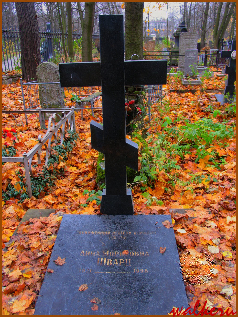 Могила Шварц Д.М. на Волковском кладбище