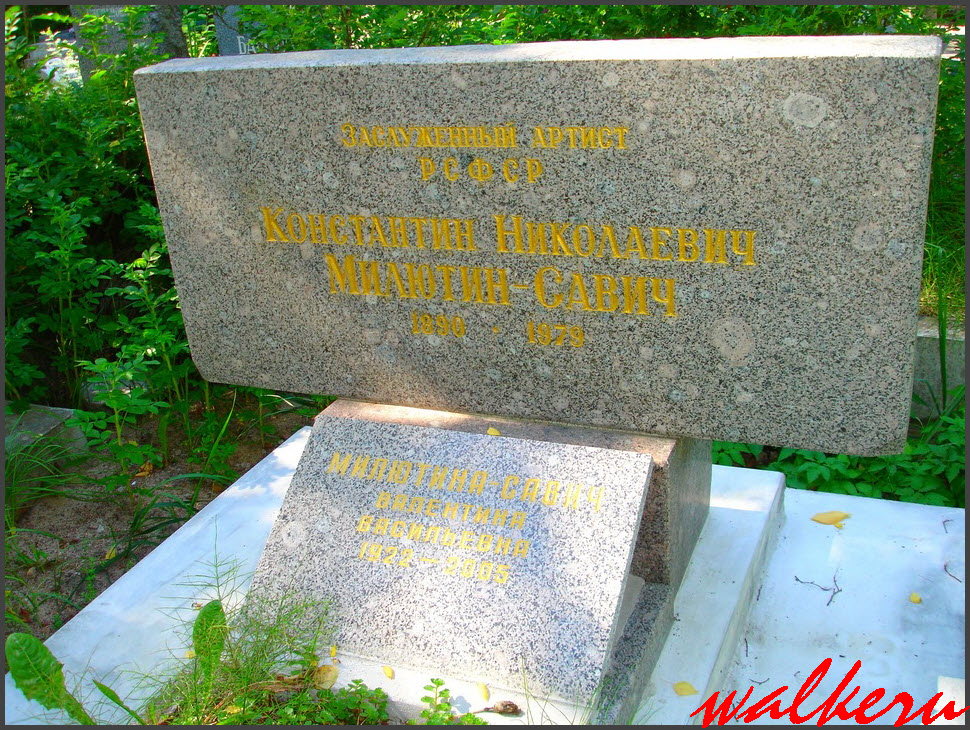 Могила Милютина-Савич К.Н. на Южном кладбище
