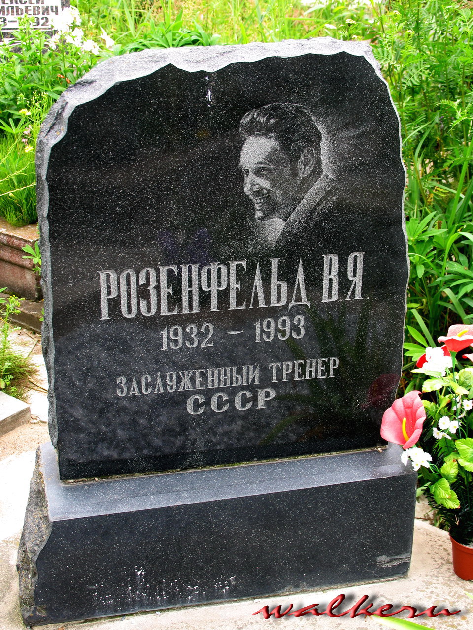 Могила Розенфельда В.Я. на Южном кладбище
