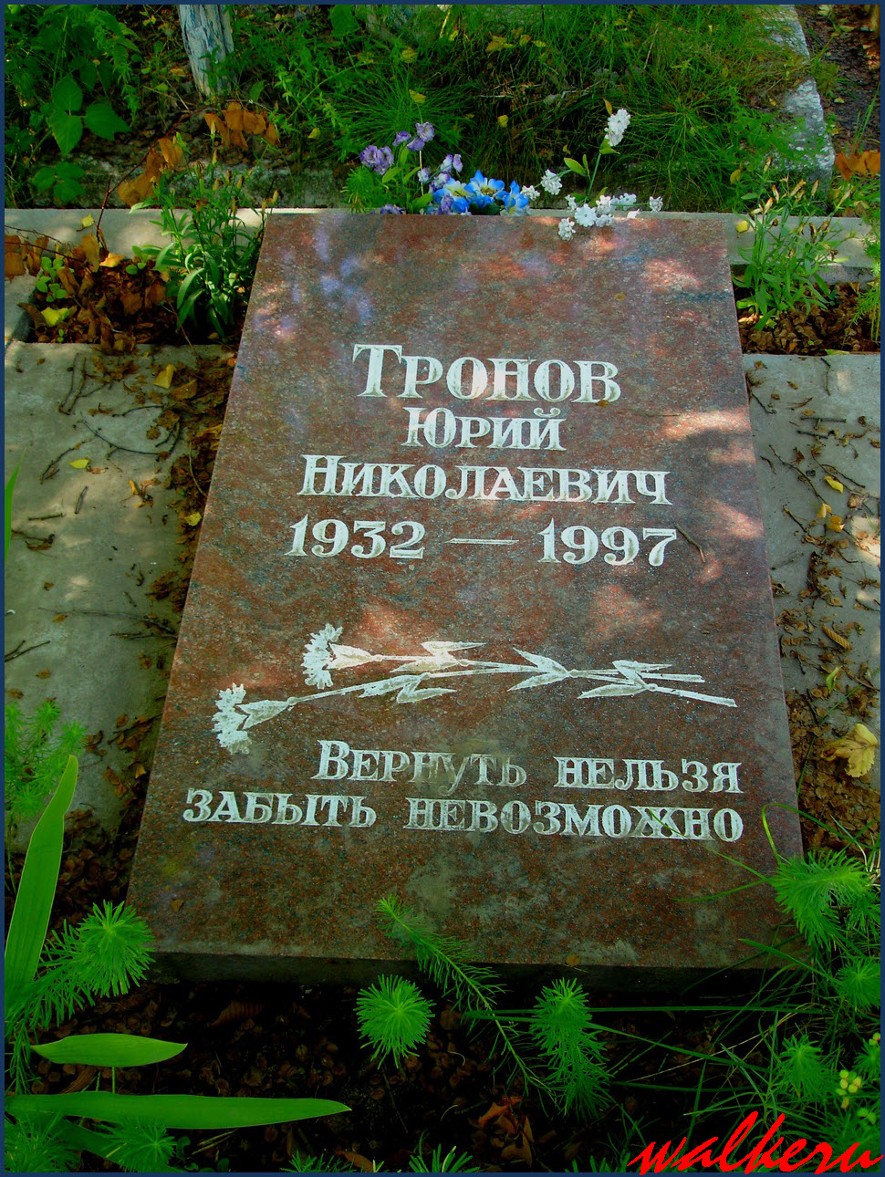 Могила Тронова Ю.Н. на Южном кладбище