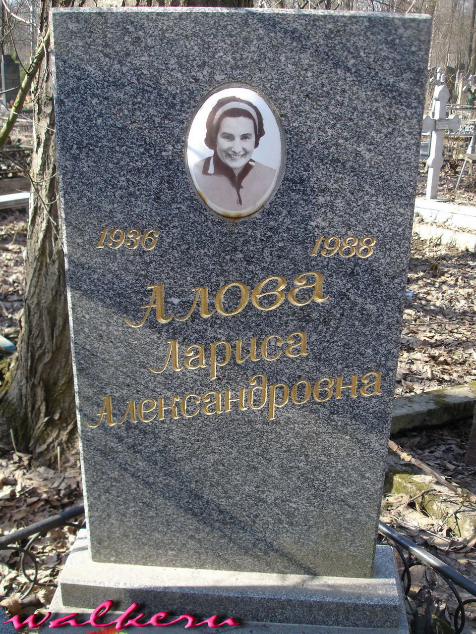 Могила Аловой Л.А. на кладбище Памяти жертв 9-го января
