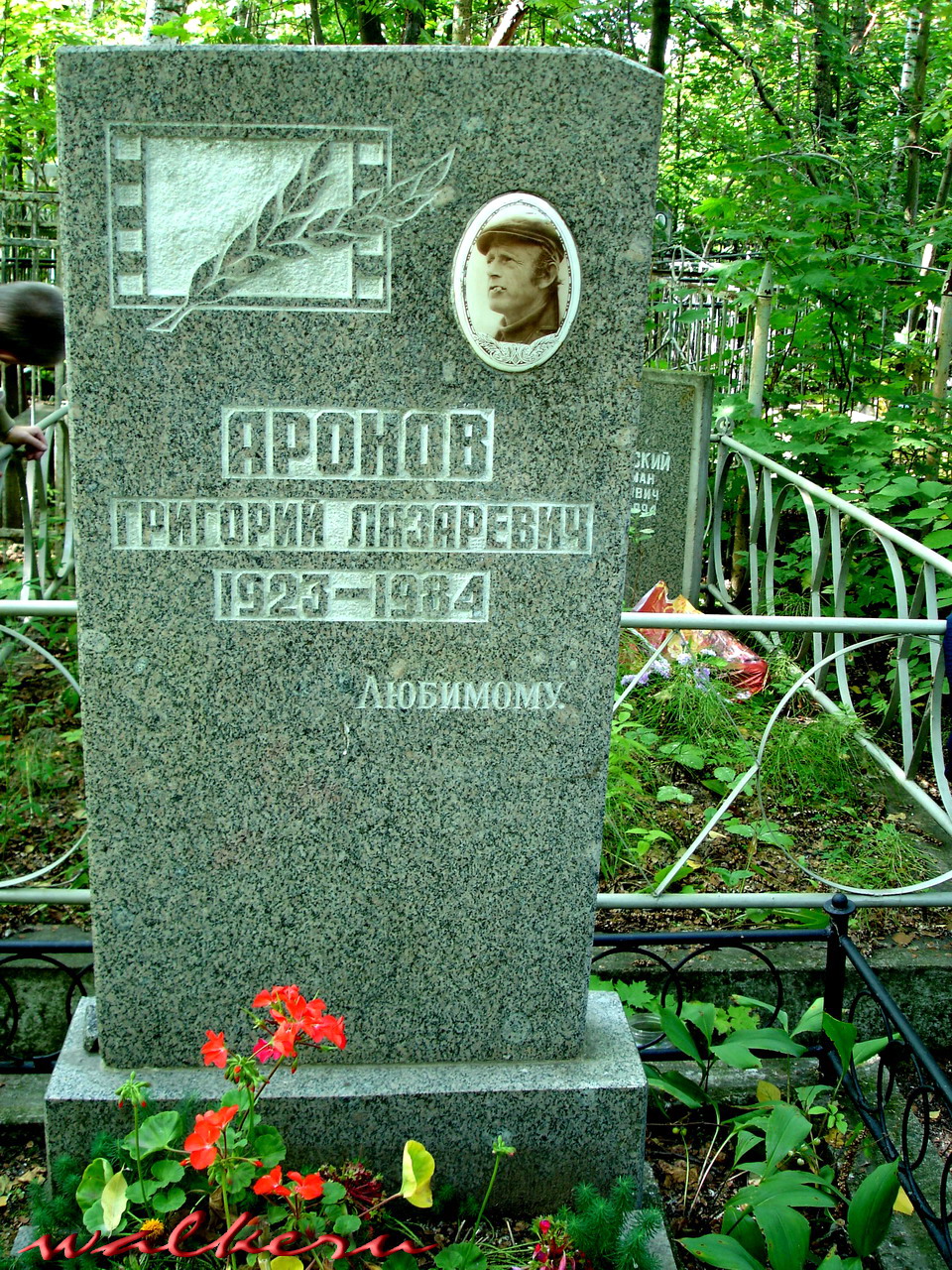 Могила Аронова Г.Л. на кладбище Памяти жертв 9-го января