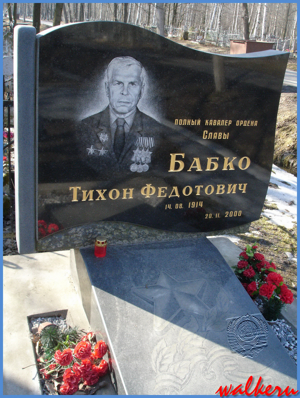 Могила Бабко Т.Ф. на кладбище 9 января